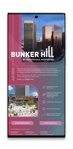 Bunker Hill Email Campaign